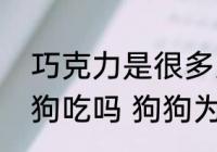 巧克力是很多人眼里的美食能喂给狗狗吃吗 狗狗为什么不能吃巧克力