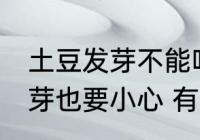 土豆发芽不能吃还有哪种蔬菜一旦发芽也要小心 有一种蔬菜发芽也不能吃