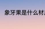 象牙果是什么材质 象牙果简单介绍