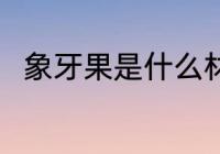 象牙果是什么材质 象牙果简单介绍