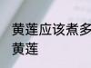 黄莲应该煮多长时间 应该煮多长时间黄莲