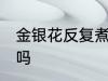 金银花反复煮可以吗 金银花能反复煮吗