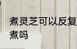 煮灵芝可以反复煮吗 灵芝能重复多次煮吗