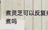 煮灵芝可以反复煮吗 灵芝能重复多次煮吗