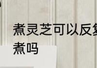 煮灵芝可以反复煮吗 灵芝能重复多次煮吗
