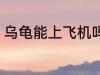 乌龟能上飞机吗 乌龟可以带上飞机吗
