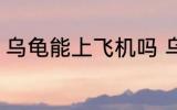 乌龟能上飞机吗 乌龟可以带上飞机吗