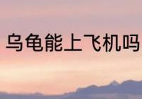 乌龟能上飞机吗 乌龟可以带上飞机吗