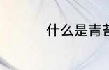 什么是青苔 青苔是什么