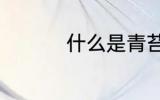 什么是青苔 青苔是什么