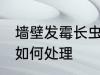 墙壁发霉长虫怎么处理 墙壁发霉长虫如何处理