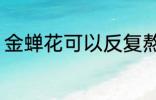 金蝉花可以反复熬煮吗 金蝉花如何喝