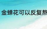 金蝉花可以反复熬煮吗 金蝉花如何喝