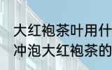 大红袍茶叶用什么壶泡最好 紫砂壶是冲泡大红袍茶的极佳选择对吗