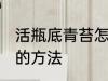 活瓶底青苔怎么处理 活瓶底青苔处理的方法