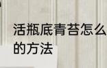 活瓶底青苔怎么处理 活瓶底青苔处理的方法