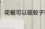 花椒可以驱蚊子吗 花椒能驱蚊子吗