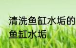 清洗鱼缸水垢的方法有哪些 怎么清洗鱼缸水垢