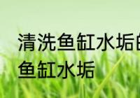 清洗鱼缸水垢的方法有哪些 怎么清洗鱼缸水垢