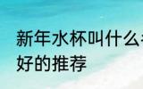 新年水杯叫什么名字 新年水杯有什么好的推荐