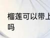 榴莲可以带上飞机吗 榴莲能带上飞机吗