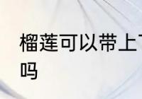 榴莲可以带上飞机吗 榴莲能带上飞机吗