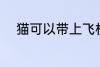 猫可以带上飞机吗 猫能上飞机吗