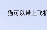 猫可以带上飞机吗 猫能上飞机吗