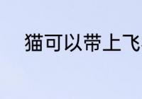 猫可以带上飞机吗 猫能上飞机吗