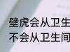 壁虎会从卫生间下水道上来吗 壁虎会不会从卫生间下水道上来