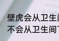 壁虎会从卫生间下水道上来吗 壁虎会不会从卫生间下水道上来