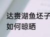 达赉湖鱼坯子晾晒方法 达赉湖鱼坯子如何晾晒