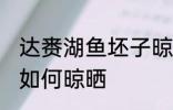 达赉湖鱼坯子晾晒方法 达赉湖鱼坯子如何晾晒