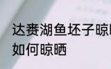 达赉湖鱼坯子晾晒方法 达赉湖鱼坯子如何晾晒