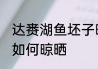 达赉湖鱼坯子晾晒方法 达赉湖鱼坯子如何晾晒