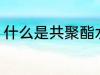 什么是共聚酯水杯 啥是共聚酯水杯呢