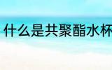 什么是共聚酯水杯 啥是共聚酯水杯呢