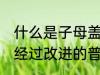 什么是子母盖水杯 子母盖水杯是一种经过改进的普通饮水杯具对吗
