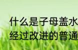 什么是子母盖水杯 子母盖水杯是一种经过改进的普通饮水杯具对吗