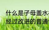 什么是子母盖水杯 子母盖水杯是一种经过改进的普通饮水杯具对吗