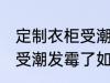 定制衣柜受潮发霉了怎么办 定制衣柜受潮发霉了如何处理