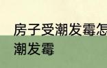 房子受潮发霉怎么办 如何解决房子受潮发霉