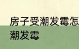 房子受潮发霉怎么办 如何解决房子受潮发霉