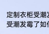 定制衣柜受潮发霉了怎么办 定制衣柜受潮发霉了如何处理
