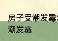 房子受潮发霉怎么办 如何解决房子受潮发霉