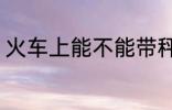 火车上能不能带秤 火车上可以带秤吗