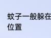 蚊子一般躲在哪里 蚊子一般躲在什么位置