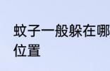 蚊子一般躲在哪里 蚊子一般躲在什么位置