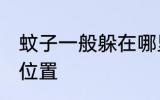 蚊子一般躲在哪里 蚊子一般躲在什么位置