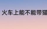 火车上能不能带猫 火车上可以带猫吗